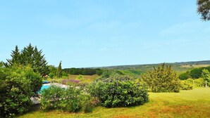 Un exuberante jardín con piscina, rodeado de abundante vegetación y árboles.