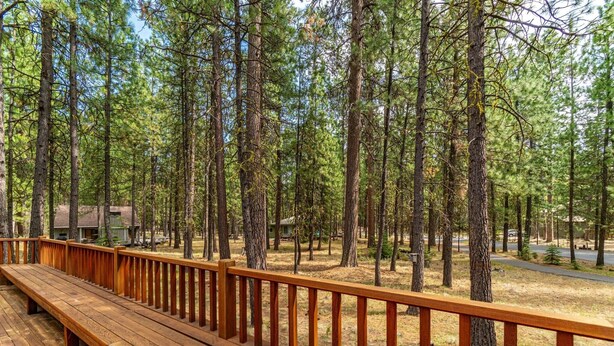 A wooden deck with a railing overlooking a forested area with tall pine trees.