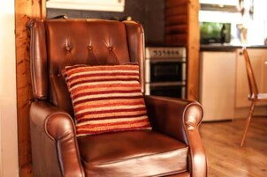 A brown leather armchair with a striped pillow, positioned against a wooden wall in a room with a kitchen in the background.