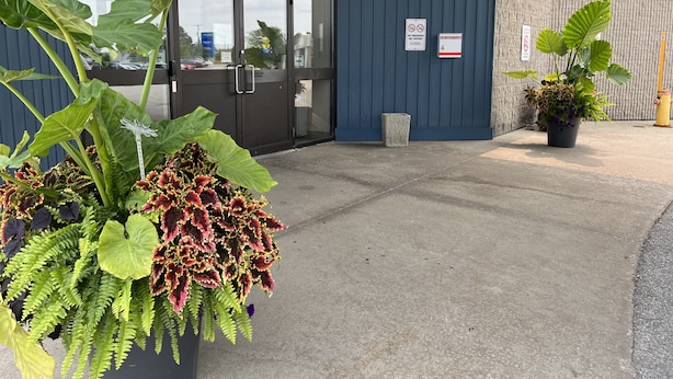 Ingresso di un edificio con grandi piante in vaso, una porta in vetro e un cartello che vieta di fumare.