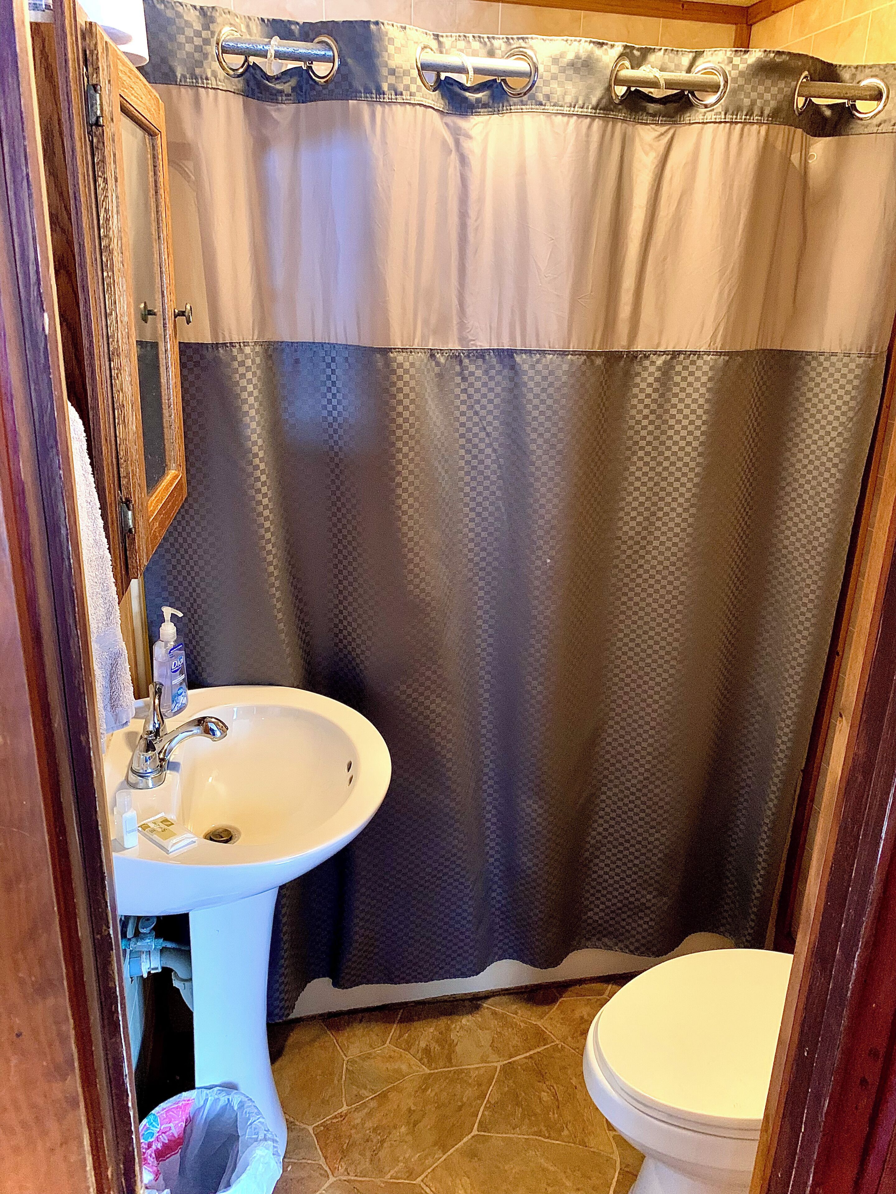Kabin Deluks | Kamar mandi | Shower dan handuk
