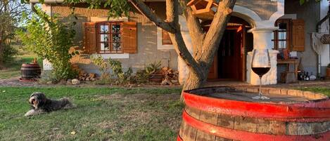 Overnattingsstedets uteområder