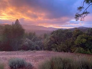 Pool - Cozy Woodworker's Cabin, 26 miles to Yosemite! (Midpines)