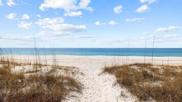 House, Multiple Beds (Front Beach Oasis) | Beach
