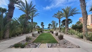 A pathway flanked by palm trees leading to a building with a view of the sea.