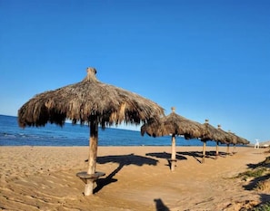 Ubicación a pie de playa, tumbonas y toallas de playa
