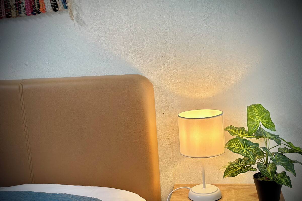 Un lit recouvert d’une couette bleue, une lampe de chevet et une plante en pot posée sur une table de chevet en bois.