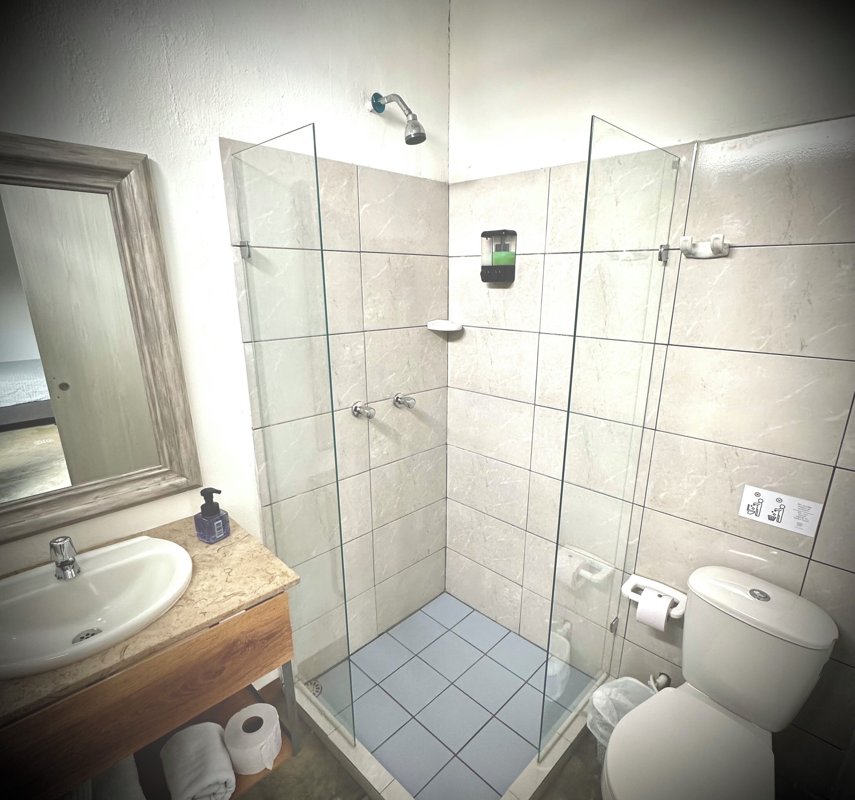 Une salle de bain équipée d’un lavabo, d’un miroir, d’une douche, de toilettes et d’une poubelle.