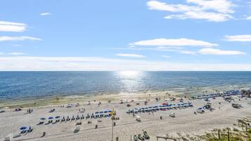Condo, 1 Queen Bed with Sofa bed (Sunbird 811E ) | Beach | On the beach