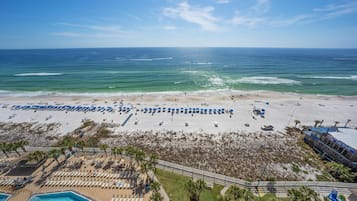 Condo, 1 King Bed with Sofa bed (The Summit 1408) | Beach | On the beach