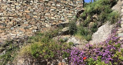 Maison Bord de Mer Avec Terrasse