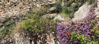 Maison Bord de Mer Avec Terrasse