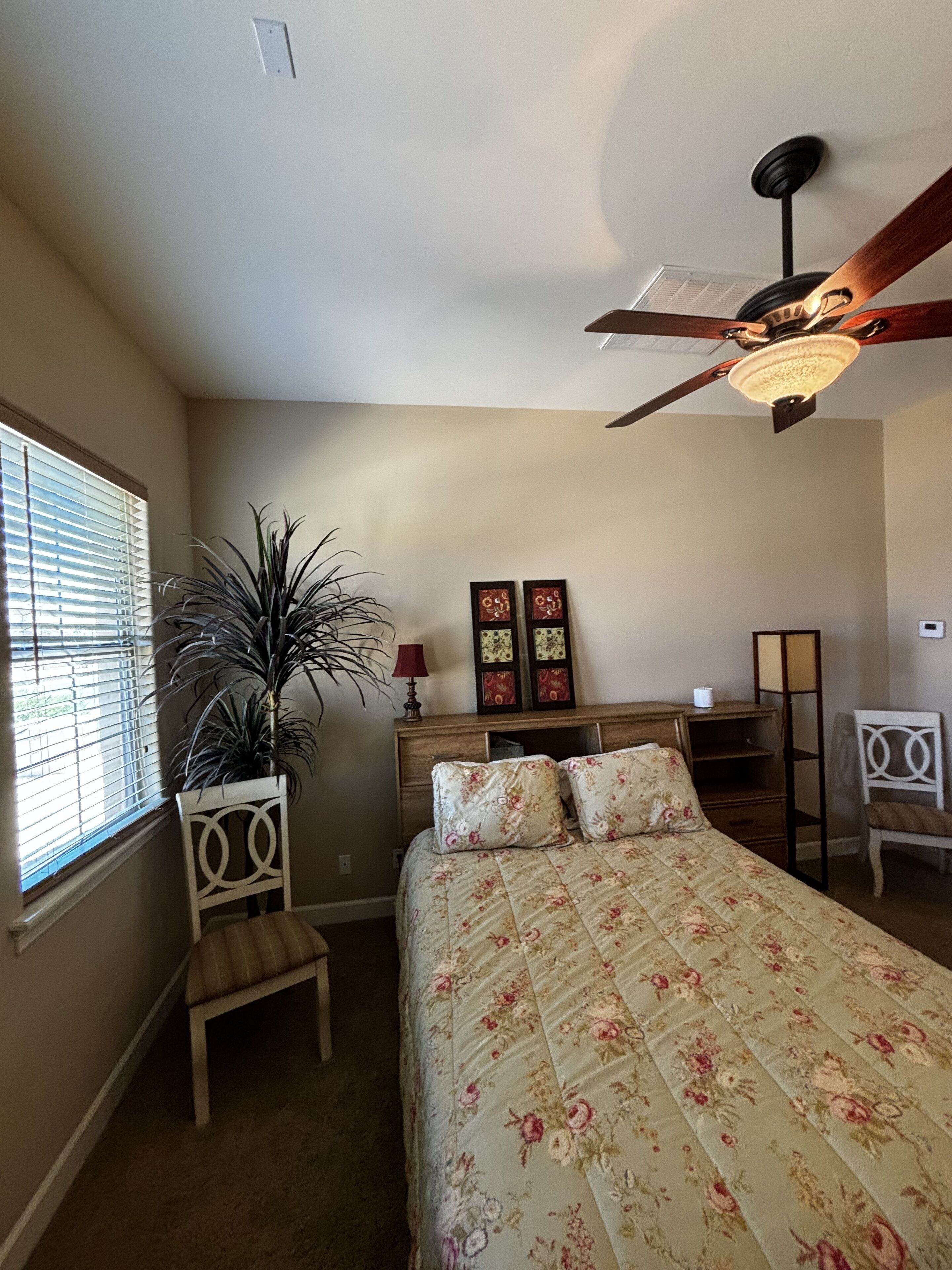 A bedroom with a bed, a ceiling fan, a desk, a chair, a potted plant, and a window with blinds.