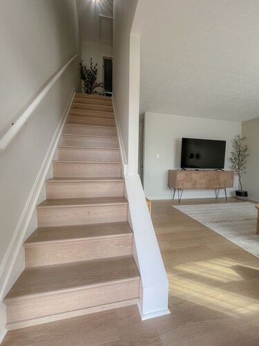 Olive Tree Oasis - 10 Minutes to the Ark!
