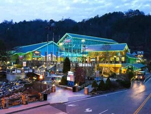 Exterior - InCabinHeatedPool-JACUZZI-KingBeds- EV Charger - Sleeps20 Aracade EV3 (Sevierville)