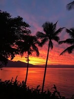 A sunset over a calm sea with palm trees silhouetted against the sky.