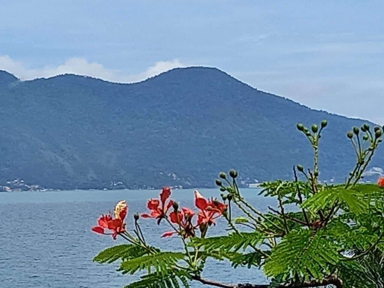 A lake with mountains in the background and red flowers in the foreground.