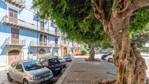 A street lined with parked cars and a tree with large roots. - Loft Piazza Marina (Palermo)
