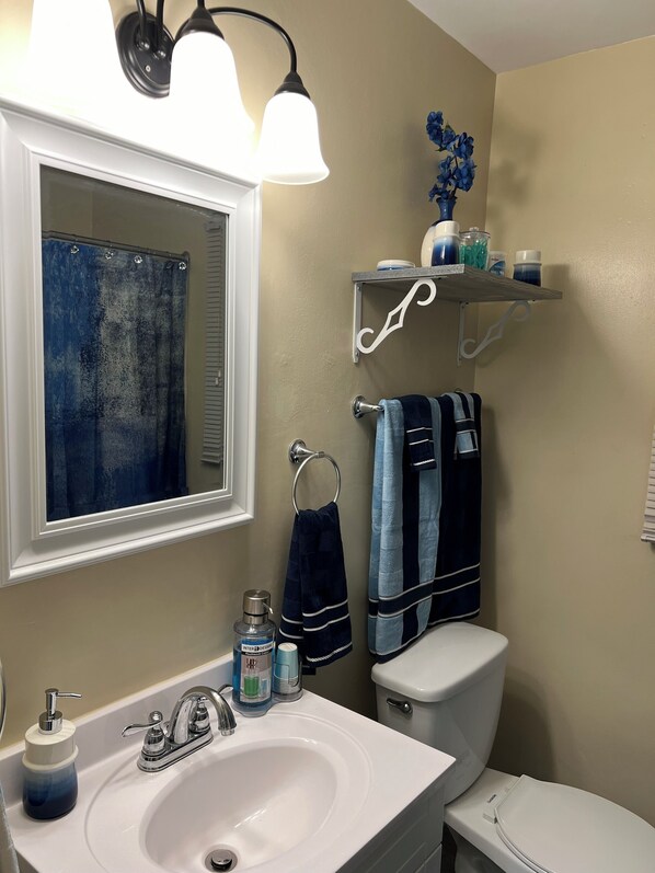 A bathroom with a white sink, a mirror, a toilet, and a shower curtain.