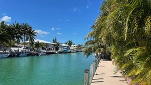 Un puerto deportivo con barcos amarrados, un paseo marítimo de arena y palmeras.