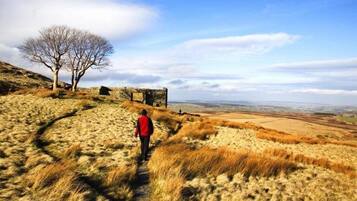 A hilly landscape with a person walking on a dirt path, a leafless tree, and a stone wall in the background.