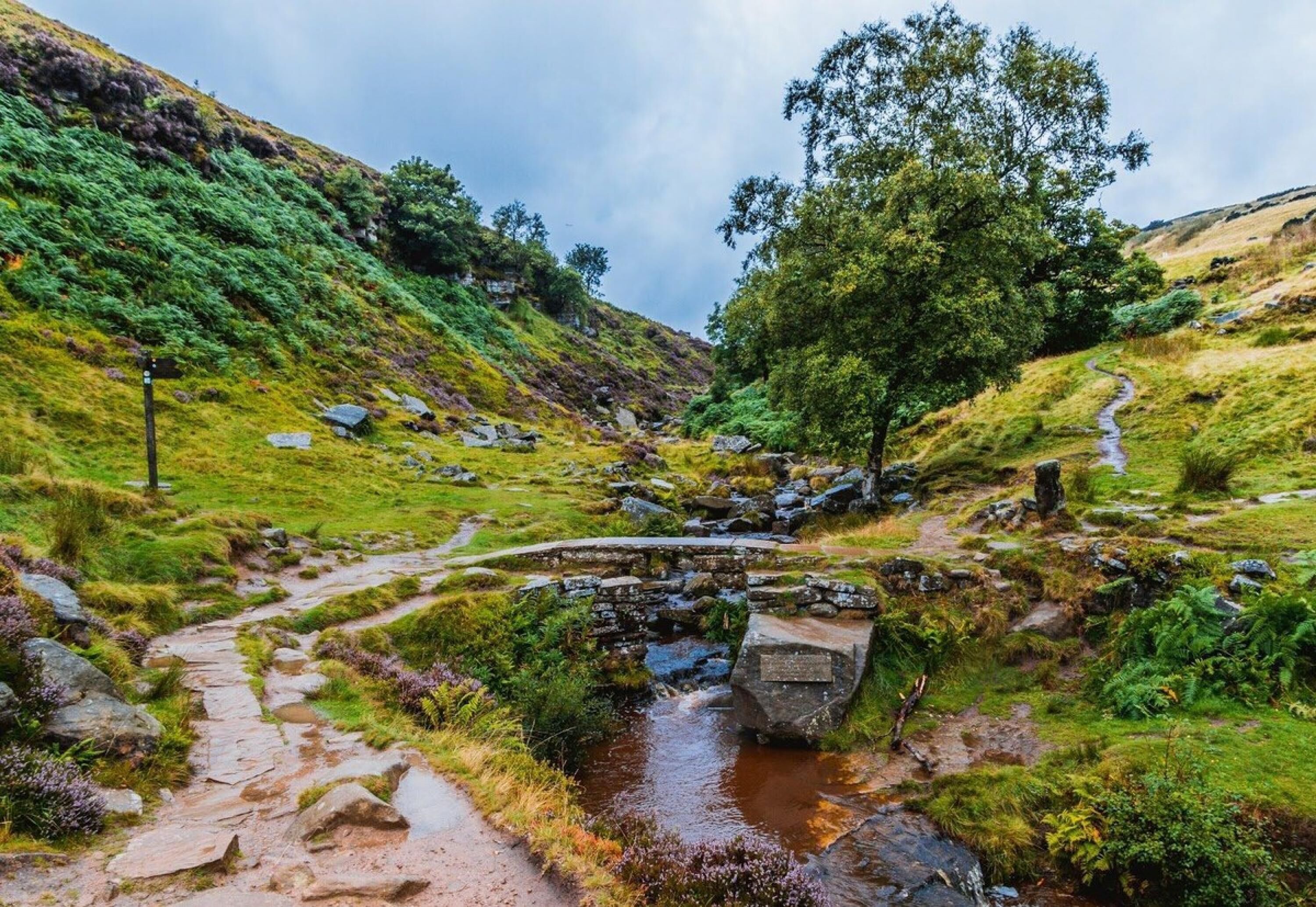 独立别墅 | 3 多间卧室、床单