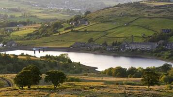 A rural landscape with a lake, rolling hills, and a small village.