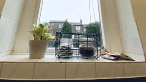 A window with a potted plant and a wire basket containing a jar and papers.