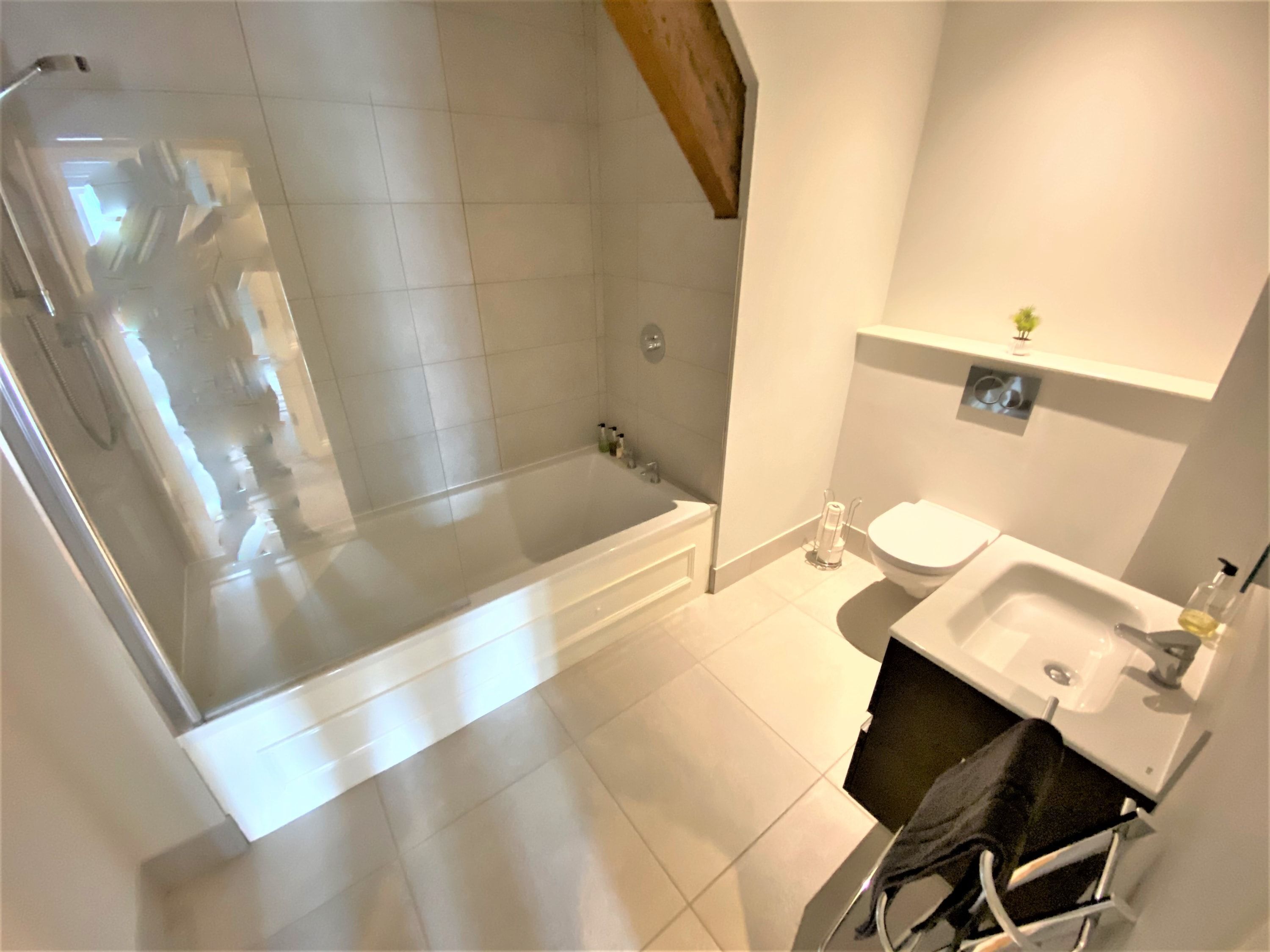 A modern bathroom with a glass-enclosed shower, a bathtub, a toilet, and a sink.