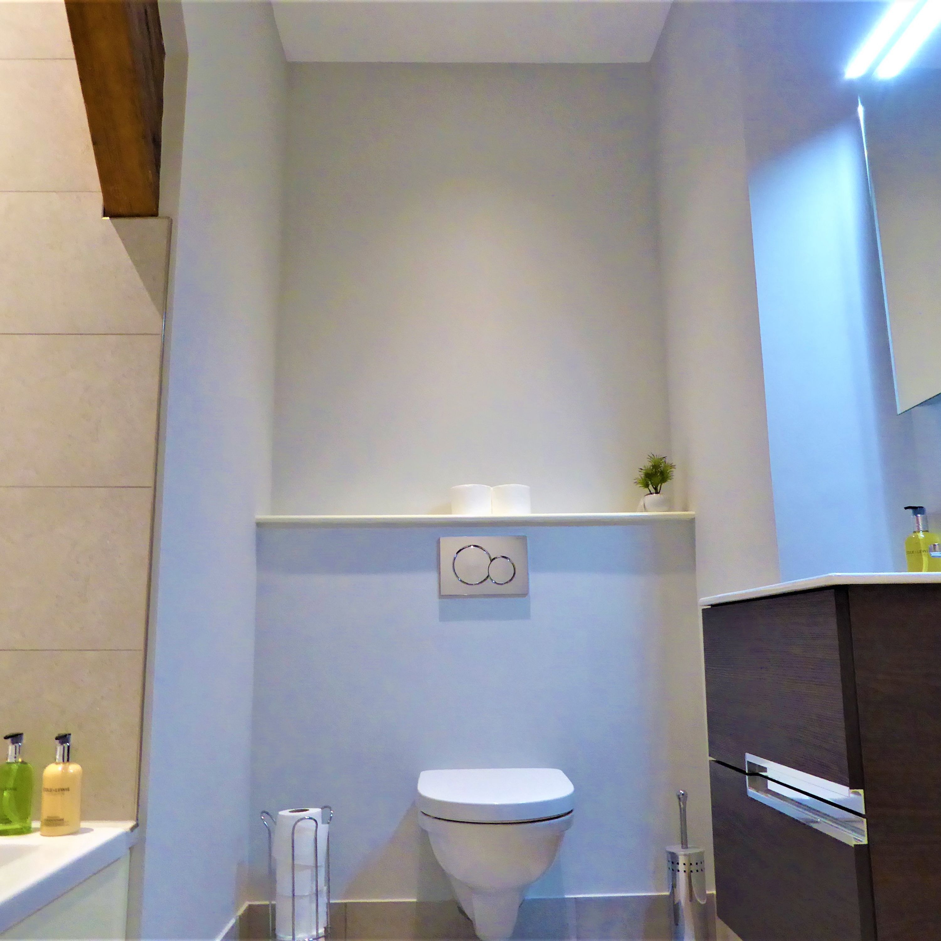 Une salle de bain moderne équipée de toilettes, d’une étagère pour les articles de toilette et d’un miroir.