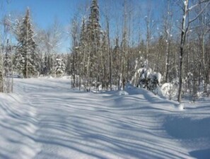 Deportes de invierno y ski