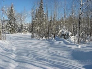 Deportes de invierno y ski