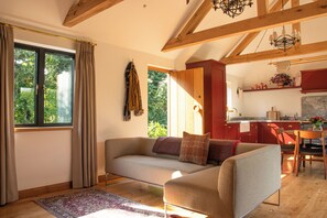 TV connectée, cheminée