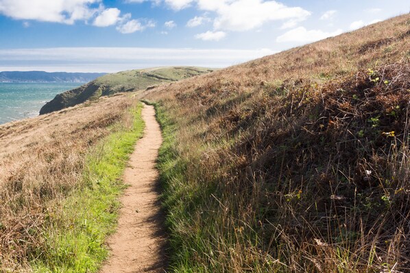 A dirt path along a coastal hillside with grassy terrain and a view of the sea.