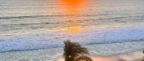 A beach with palm trees and a sunset over the ocean.