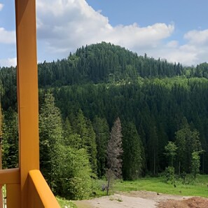 Interni