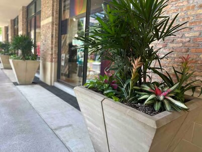 Trendy, upscale apartment!