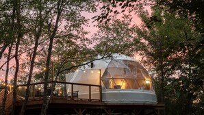 Une structure en forme de dôme géodésique, dotée d’une terrasse en bois et entourée d’arbres.