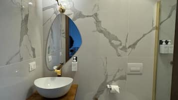 Shower, hair dryer, bidet, towels