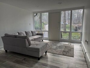 Smart TV, fireplace, books