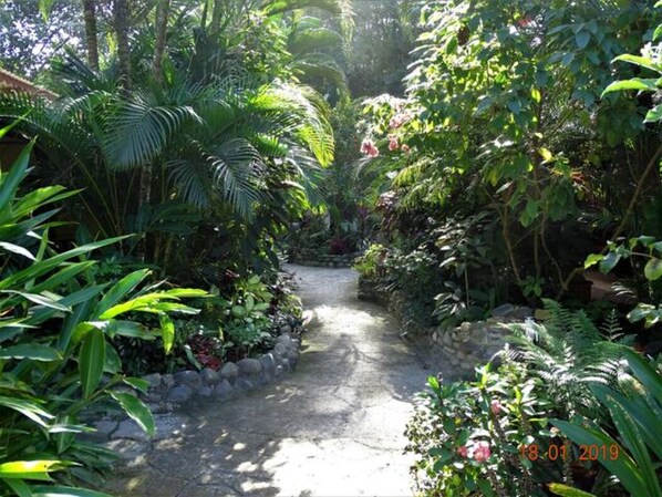 Exterior - Casa Caribbean Coconut (Cahuita)