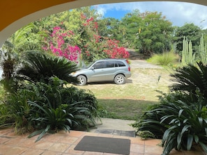 Property grounds - Charming,Private 2-bedroom Villa Caribella Overlooking Fish and Wildlife Reserve (Puerto Ferro)