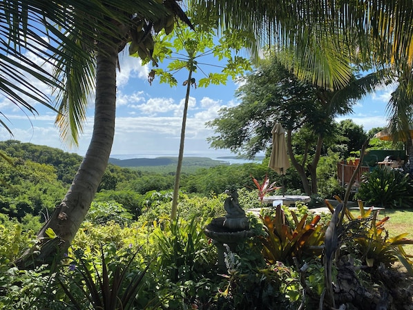 Property grounds - Charming,Private 2-bedroom Villa Caribella Overlooking Fish and Wildlife Reserve (Puerto Ferro)