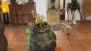 Un saló acollidor amb una test de decoració, un moble de fusta i un gos.