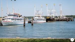 A marina with several boats docked, including a white and blue boat named 'PECONIC STAR Express'. - Harbor Heights  (Greenport)