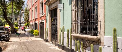 A street with buildings, parked cars, and cacti along the sidewalk.
