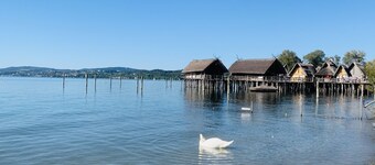 Apartment Seensation Direkt am Bodensee