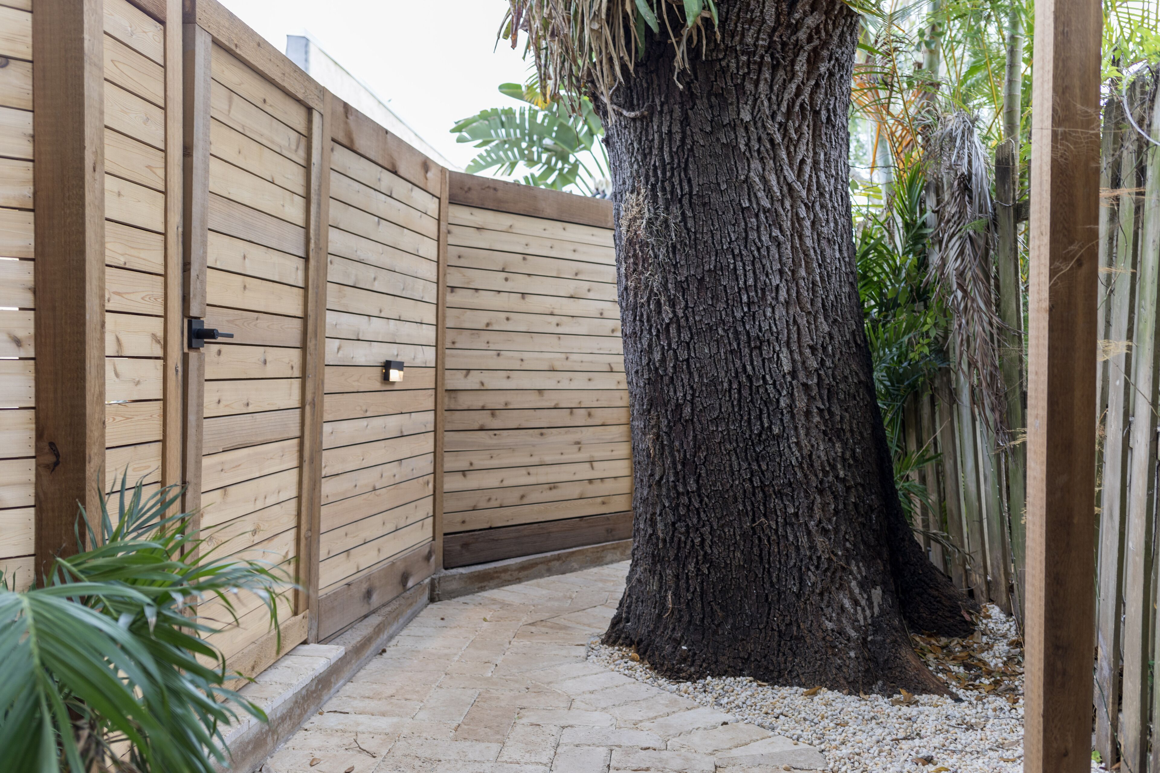 A wooden gate with a metal latch, a large tree trunk, and a paved pathway.