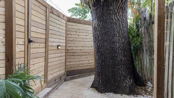 A wooden gate with a metal latch, a large tree trunk, and a paved pathway.