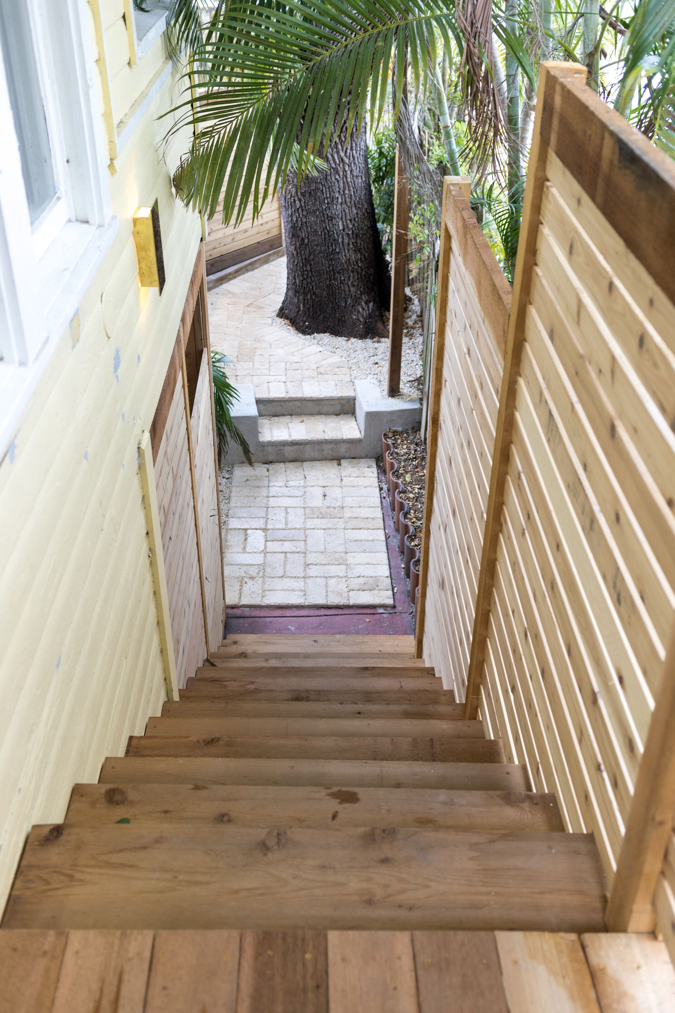 A wooden staircase leading to a covered outdoor area with a palm tree and a concrete bench.